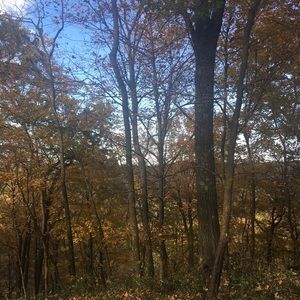 Meet your Posher, Laci